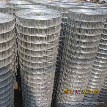 Galvanized Welded Wire Mesh for Building Used